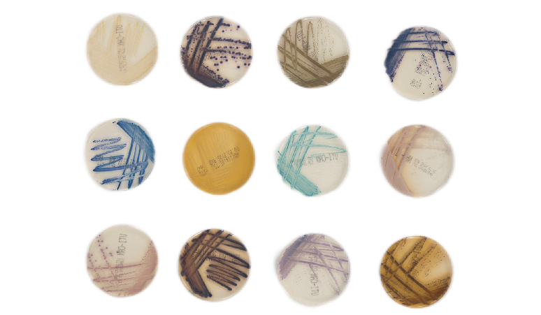 40001百老汇·(电子游戏)集团公司